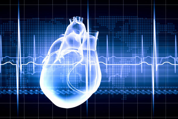 Human Factors