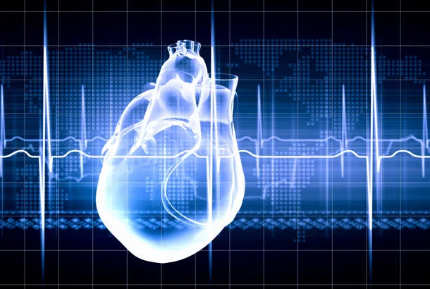 Human Factors