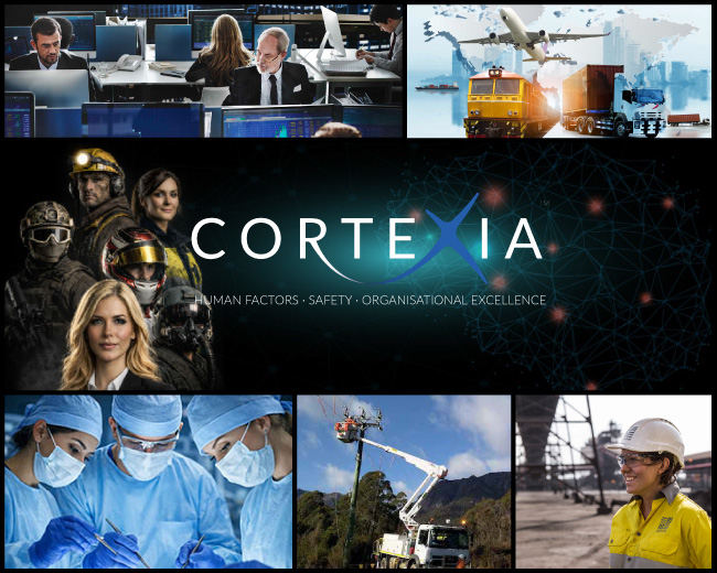 How Psychological Flexibility Increases Safety and Performance in High-Reliability Industries